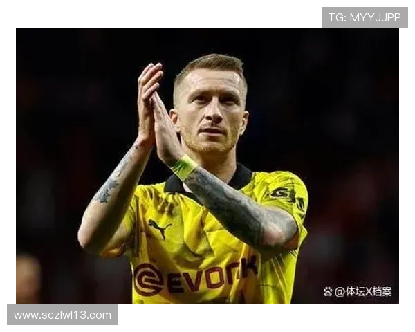 足球明星受伤经历揭秘谁的伤病对职业生涯影响最大